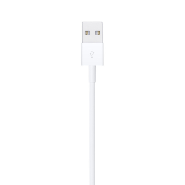 Lightning to USB IPO Cable OEM 2M