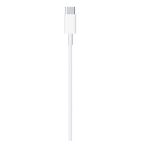USB-C to Lightning Cable OEM 2M